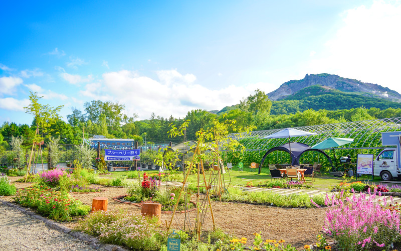 ブルーベリー観光農園 BB Farm 2